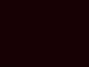 U 00 Carbon